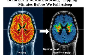اسکن‌های مغزی، یک «نقطه‌ی اوج» شگفت‌انگیز رو دقایقی قبل از به خواب رفتن ما فاش می‌کنند!